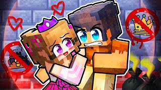 PEASANT And PRINCESS FORBIDDEN LOVE in Minecraft!