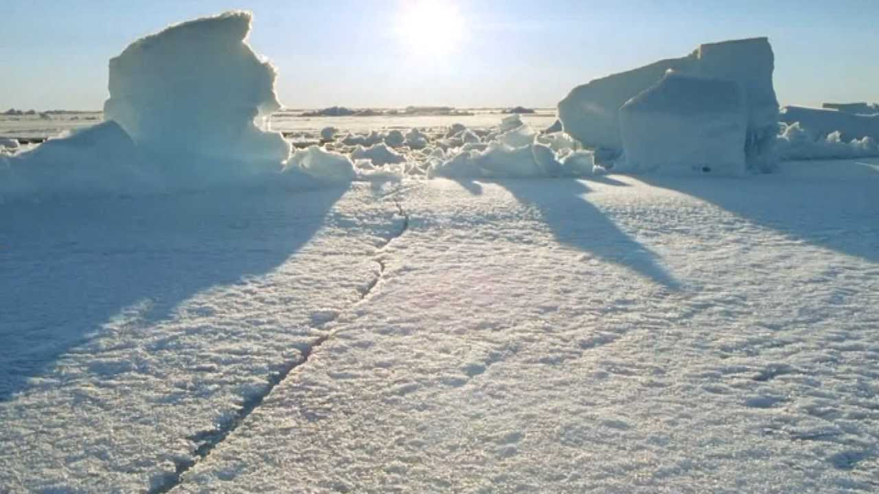 Frozen Planet Trailerin pikkukuva