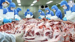 한우 한 마리에서 무려 39개 부위가!? 쉴 틈 없는 육가공 현장 / One Cow, 39 Beef Cuts!? Inside a Busy Beef Processing Plant