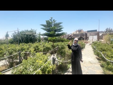 نحنا بمكان بالسعوديه بيشبه لبنان ادعولنا نرجع بخير بسبب الاوضاع المستجده