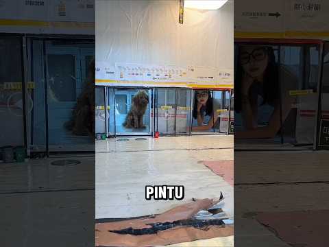 Cewek Ini TERJEBAK di Kereta Mini 😱‼️#shortvideo #shorts #shortsviral