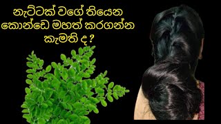 නාන්න කලින් මේ දේ කරන්න | Jawa Food Corner 
