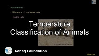 Temperature Classification of Animals
