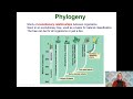 Phylogeny and Classification Concepts