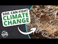 Carbon Sequestration and Emissions