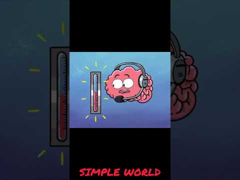 உங்க முகத்தை சாப்பிடுது | Cat vs SIMPLE WORLD