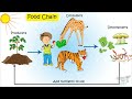 Ecosystem Interdependence and Food Chains