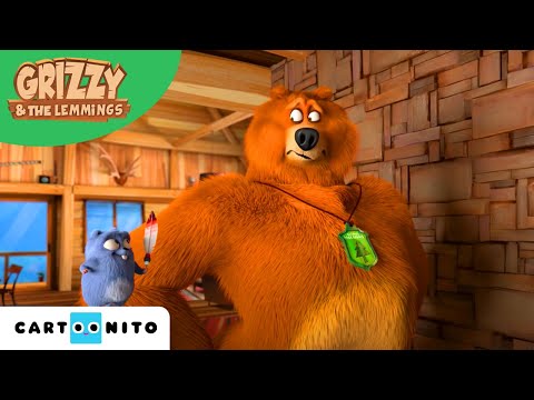 Grizzy en de Lemmings | Berendieet | Cartoonito