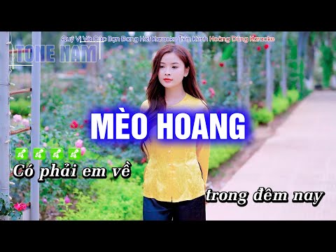 Karaoke Mèo Hoang (Tone Nam) Beat Công Tuấn cực hay – Hoàng Dũng Karaoke