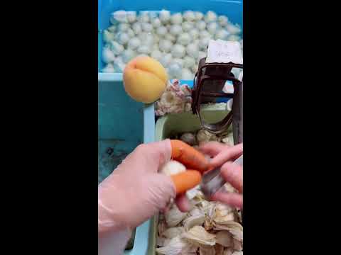 Satisfying Garlic Peeling ASMR, Relaxing Hand Peeling Process