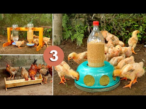 Top DIY chicken feeder & waterer ideas