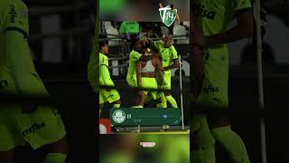 Deixe sua MEMÓRIA sobre... • #Palmeiras #Libertadores #Futebol #Brasil #TBT #Botafogo #Brasileirao