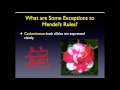 Genetics: Phenotypes and Inheritance