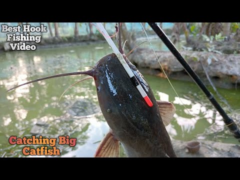 CATCHING BIG CATFISH BY HOOK FISHING