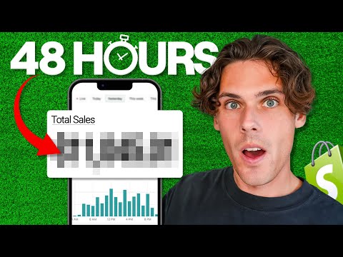 I Tried Shopify Dropshipping For 48 Hours (Realistic Results)