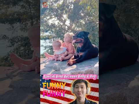 SPECIAL BOND between BABY & DOG |#171| #shorts #funny ##baby #dog #love #pets #puppy