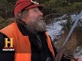 Understanding Wolf Behavior and Human Interaction