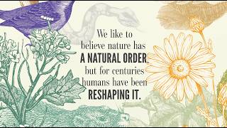 Undesirable | Amy Crawford
