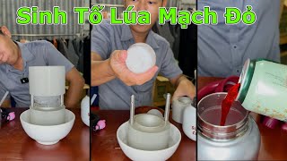 Review Sinh Tố Lúa Mạch Đỏ với Bình Giữ Nhiệt Cute