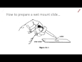 Preparing Wet Mount Slides