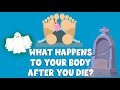 Decomposition and Post-Mortem Changes