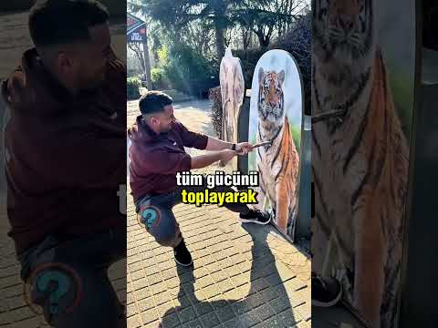 Hayvanlara Karşı Güç Testi! 🦍💪😱