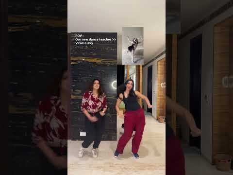 POV: Our New Dance teacher โ
Husky trend โ| #samyukthashan #shorts #huskydance