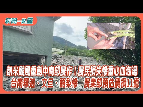 【新聞一點靈】凱米颱風重創中南部農作！農民損失慘重心血泡湯　台南釋迦、文旦、酪梨慘　農業部預估農損11億 - YouTube