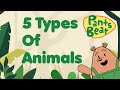 Animal Classification and Adaptations