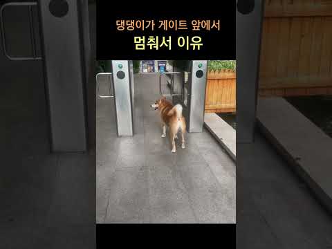 이런건 배워야지!