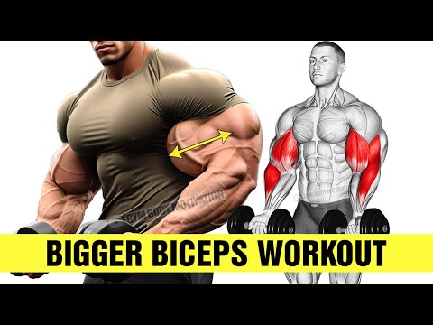 5 BEST Exercises for BIGGER BICEPS