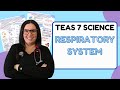 Respiratory System Concepts