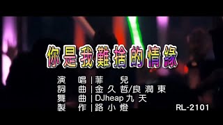 菲兒 | 你是我難捨的情緣 | (DJ版) | (1080P)KTV
