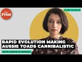 Cane Toads and Evolutionary Changes
