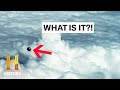 Mysterious Creatures and Phenomena