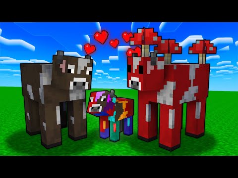 17 questions ÉTRANGES sur Minecraft !