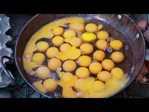 survival in the rainforest-women found two chicken & took eggs for cook -Eating delicious HD