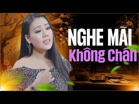 Nghe Mãi Không Chán Với Liên Khúc Nhạc Vàng Kinh Điển | Bội Bạc,Không Bao Giờ Ngăn Cách-Lưu Ánh Loan