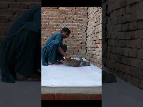 How to make small Pigeon Colony in your home