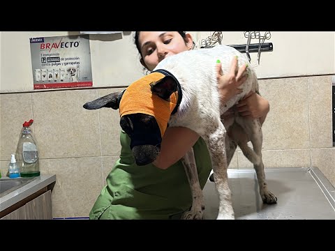 32 días siendo momia.! Que atuendo le tocara vestir hoy?😍