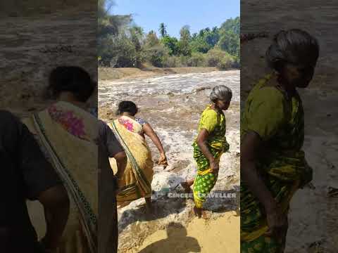 தண்ணி வந்துடுச்சு நம்ம ஊருக்கு தண்ணி வந்துடுச்சு ஆடிப்பெருக்கு என்று காவேரி வருவதை கொண்டாடும் மக்கள்