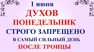 1 июня Духов День. Что нельзя делать в Духов День. Народные приметы и традиции