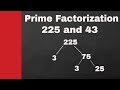 Prime Factorization and Factors