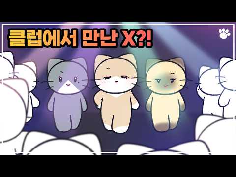 고양이 클럽에서 만난 X