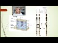DNA Analysis and Paternity Testing