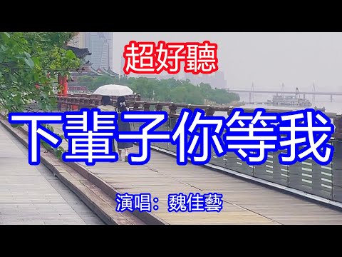 天呀！ 太好聽了，3月魏佳藝超火傷感情歌《下輩子你等我》，獨特的嗓音，單曲循環聽不夠！愛你想你淚水流，只盼你能再回首！唱的撕心裂肺，聽得痛哭流涕！江西風景！ 傷感情歌！療癒情歌！