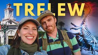 Trelew Travel Guide | Dinosaurs, Welsh History & Patagonia’s Quirky Side 🦕
