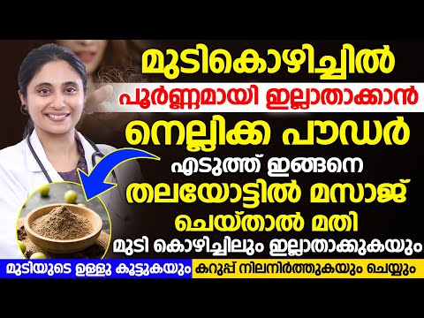 മുടികൊഴിച്ചിൽ പൂർണമായി ഇല്ലാതാക്കാൻ |  നെല്ലിക്ക പൗഡർ എടുത്ത് ഇങ്ങനെ തലയോട്ടിൽ മസാജ് ചെയ്താൽ മതി