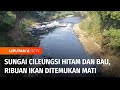 Cileungsi River Pollution Issues