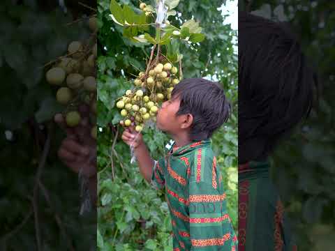 Outdoorfood SIMPLE and USEFUL NEW IDEA UNLOCKED Found Fruit In Forest #survival #forest #outdoor